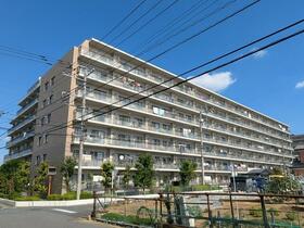 ベルドゥムール春日部東