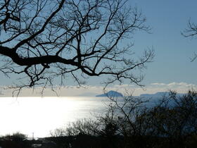 静岡県伊東市池