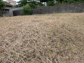 熊本県熊本市北区清水亀井町