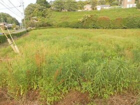 佐賀県唐津市北波多岸山