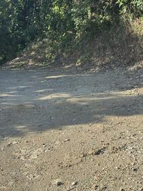 鹿児島県霧島市隼人町小田