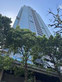 ＴＨＥ　ＲＯＰＰＯＮＧＩ　ＴＯＫＹＯ