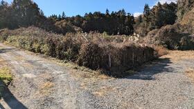 栃木県日光市小代