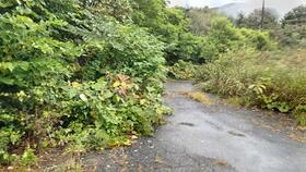 岩手県岩手郡雫石町長山岩手山