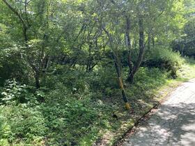 長野県北佐久郡軽井沢町大字長倉