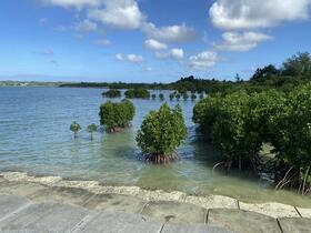 沖縄県宮古島市下地字与那覇