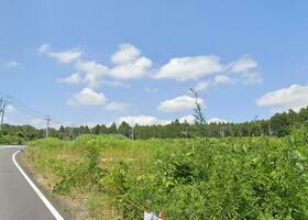 千葉県山武市松尾町山室