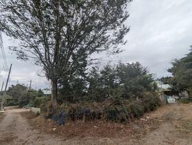 千葉県白井市折立