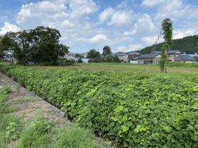 福井県坂井市丸岡町下久米田