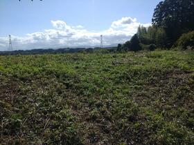 福島県相馬郡新地町駒ケ嶺字東清水