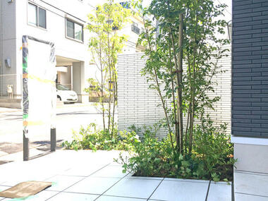 代表画像_外観@211059637728