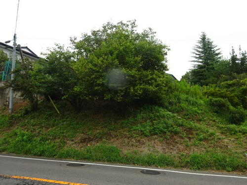 Image 33