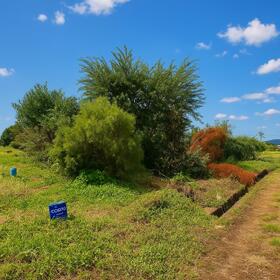 大分県大分市大字野田