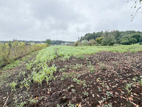 茨城県水戸市成沢町