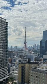 東京ツインパークス　ライトウィング