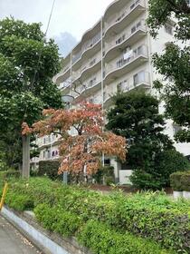 千葉県松戸市新松戸７丁目