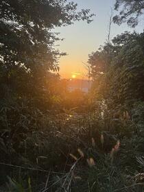 熊本県上益城郡御船町大字辺田見