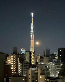 メインステージ入谷ＩＩ〜１１階陽当り・眺望良好×ペット×室内美