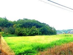 千葉県木更津市中尾