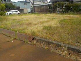 新潟県阿賀野市百津町