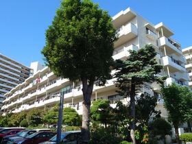 谷津パークタウン弐番街３３号棟