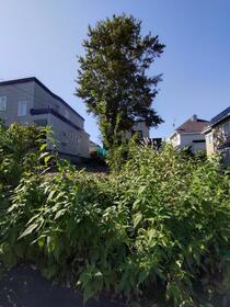 北海道札幌市南区藤野六条４丁目