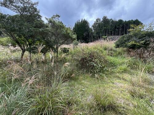 detached 兵庫県佐用郡佐用町才金