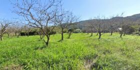 三重県伊勢市前山町