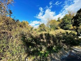 群馬県安中市鷺宮