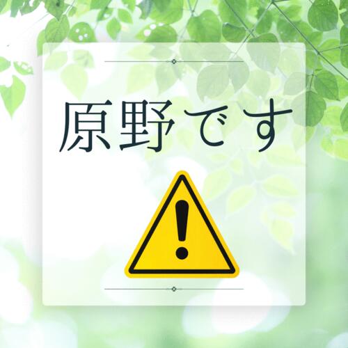 Land, 愛知県 豊田市