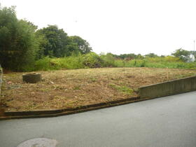 愛知県豊橋市小島町字南島