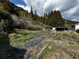 鹿児島県霧島市隼人町西光寺