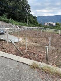山梨県甲府市下向山町