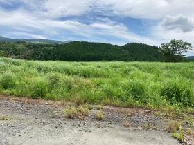 熊本県阿蘇郡南阿蘇村大字河陽
