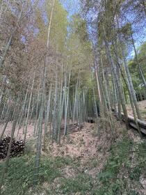 京都府長岡京市井ノ内回向場