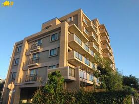 セザール大宮日進