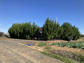 愛知県豊田市中田町神池