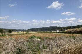 熊本県上益城郡益城町大字平田