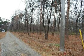 栃木県那須塩原市東原