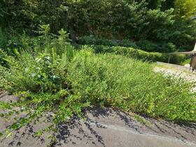 愛知県岡崎市明大寺町字出口