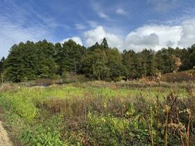 北海道虻田郡ニセコ町字近藤
