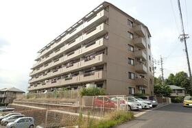 レインボー苗場