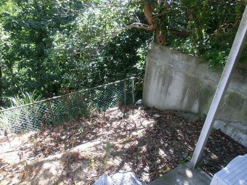 Image 61