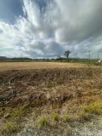 千葉県長生郡長生村一松戊