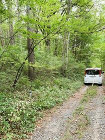 長野県南佐久郡佐久穂町大字千代里