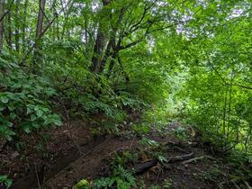 長野県長野市門沢