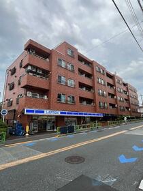 シャンボール弦巻