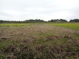 千葉県長生郡長生村信友