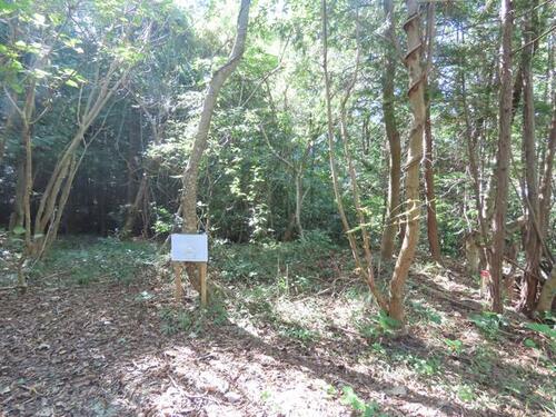 Land, 福岡県 福岡市