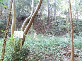 福岡県福岡市西区今宿上ノ原